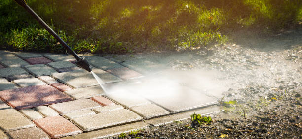 Best Animal Enclosure Cleaning  in University Of Lifornia Davis, CA